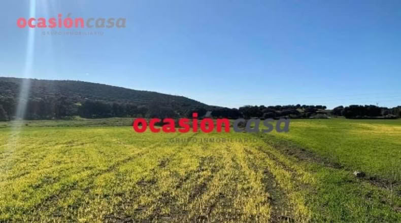 Córdoba - Belmez - 17000m2