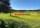 Non-developable land for sale on España, Belmez, ref: TR254798 photo