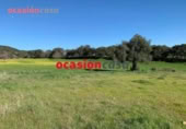 Non-developable land for sale on España, Belmez, ref: TR254798 photo