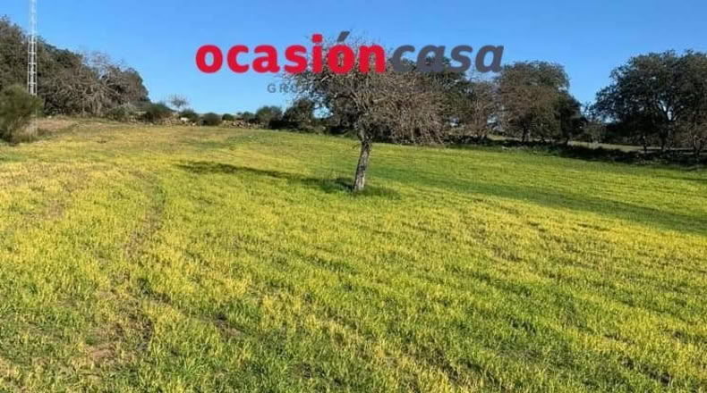 Córdoba - Belmez - 17000m2