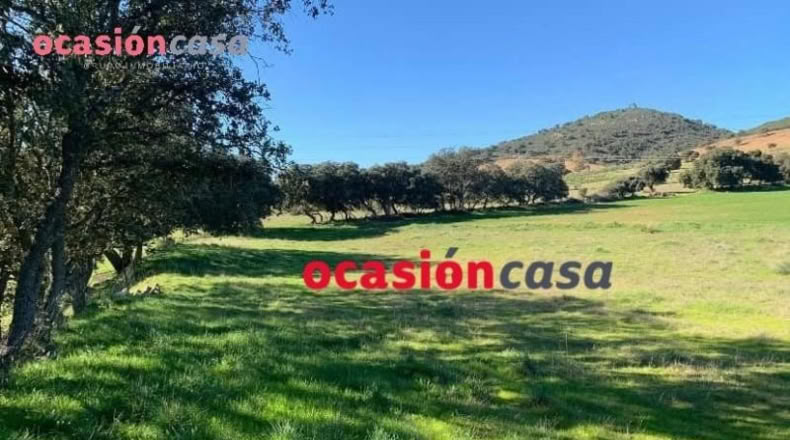 Córdoba - Belmez - 17000m2