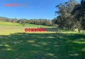 Non-developable land for sale on España, Belmez, ref: TR254798 photo