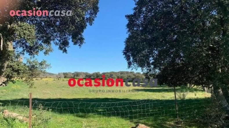 Córdoba - Belmez - 17000m2