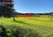 Non-developable land for sale on España, Belmez, ref: TR254798 photo