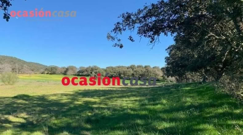 Córdoba - Belmez - 17000m2
