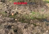 Non-developable land for sale on España, Belmez, ref: TR254798 photo