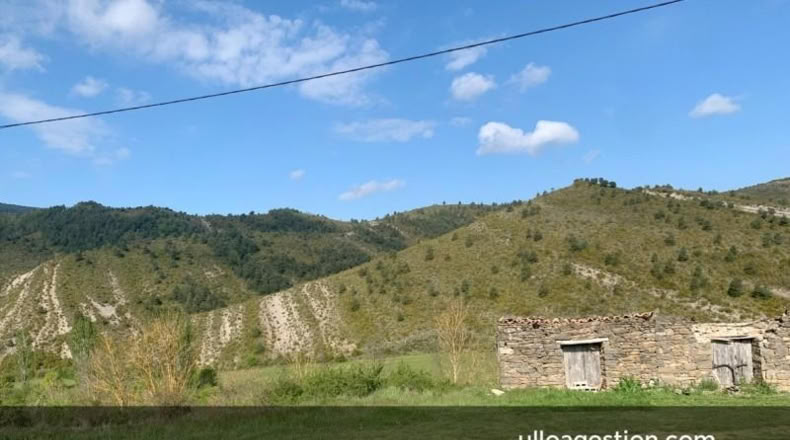 Navarra - Castillonuevo - 439m2