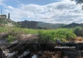 Sòl urbà en venda a la España, Castillonuevo, ref.: TR228082 foto