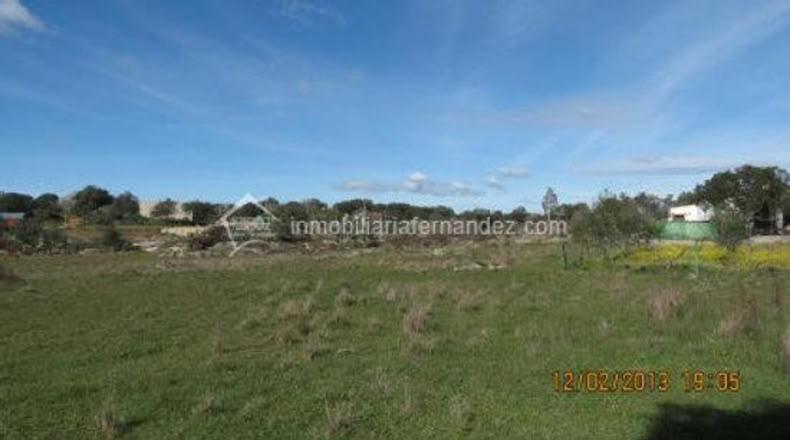 Cáceres - Arroyo de la Luz - 6200m2