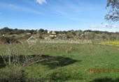Terreny no urbanitzable en venda a la España, Arroyo de la Luz, ref.: TR115684 foto