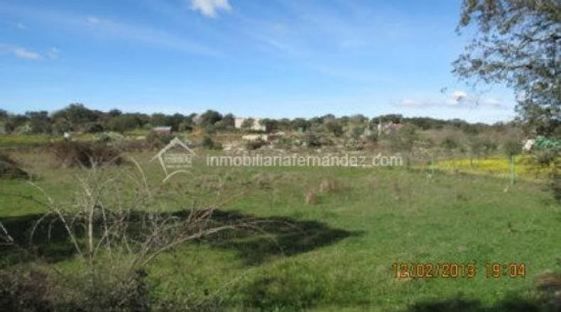 Cáceres - Arroyo de la Luz - 6200m2