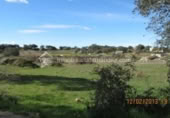 Terreny no urbanitzable en venda a la España, Arroyo de la Luz, ref.: TR115684 foto