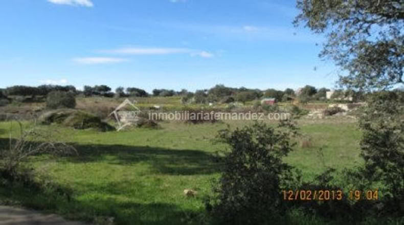 Cáceres - Arroyo de la Luz - 6200m2