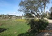 Terreny no urbanitzable en venda a la España, Arroyo de la Luz, ref.: TR115684 foto
