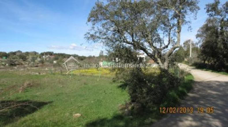 Cáceres - Arroyo de la Luz - 6200m2