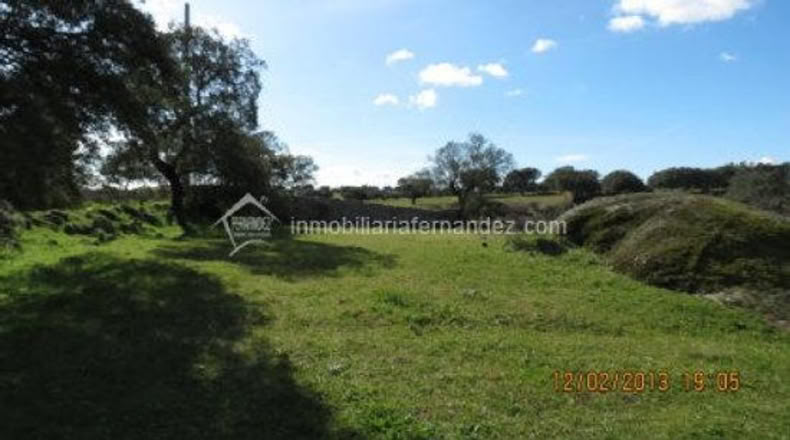 Cáceres - Arroyo de la Luz - 6200m2