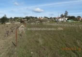 Terreny no urbanitzable en venda a la España, Arroyo de la Luz, ref.: TR115684 foto