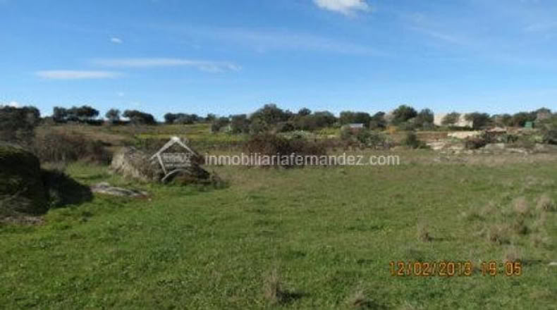 Cáceres - Arroyo de la Luz - 6200m2