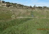 Terreny no urbanitzable en venda a la España, Arroyo de la Luz, ref.: TR115684 foto