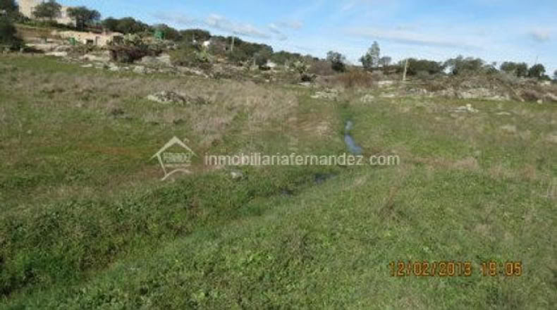 Cáceres - Arroyo de la Luz - 6200m2