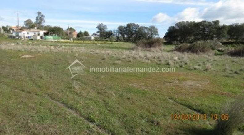 Cáceres - Arroyo de la Luz - 6200m2