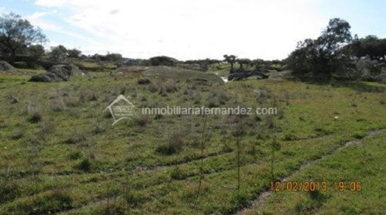 Cáceres - Arroyo de la Luz - 6200m2