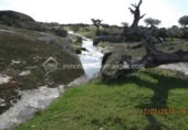 Terreny no urbanitzable en venda a la España, Arroyo de la Luz, ref.: TR115684 foto