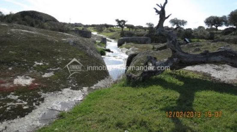 Cáceres - Arroyo de la Luz - 6200m2