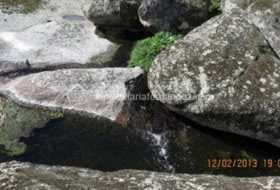 Foto 15