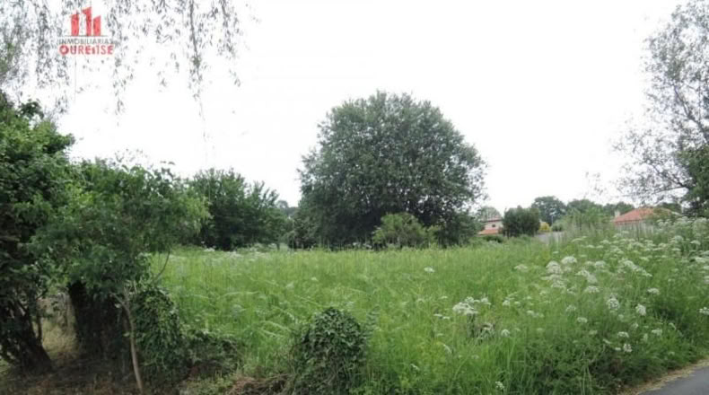 Orense - Orense - 800m2