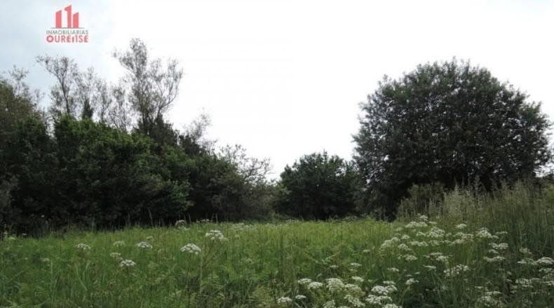 Orense - Orense - 800m2