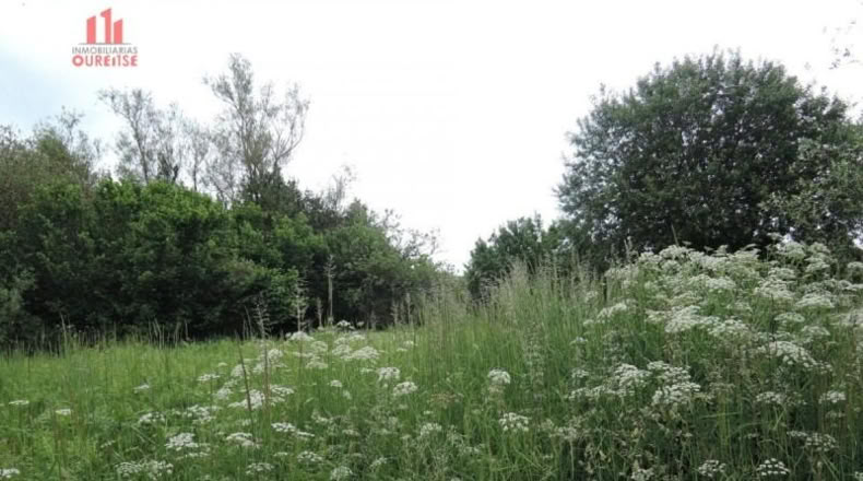 Orense - Orense - 800m2
