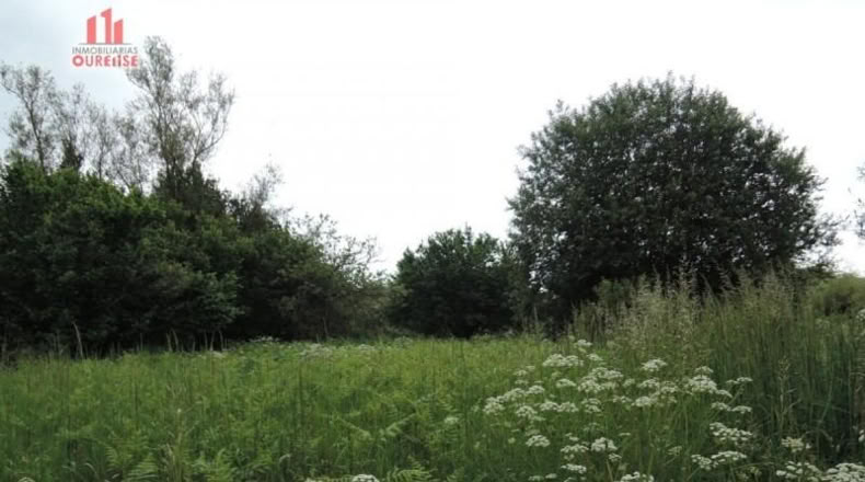 Orense - Orense - 800m2