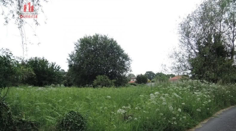 Orense - Orense - 800m2
