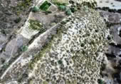 Non-developable land for sale on España, Urrácal, ref: TR121125 photo