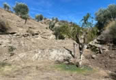 Non-developable land for sale on España, Urrácal, ref: TR121125 photo