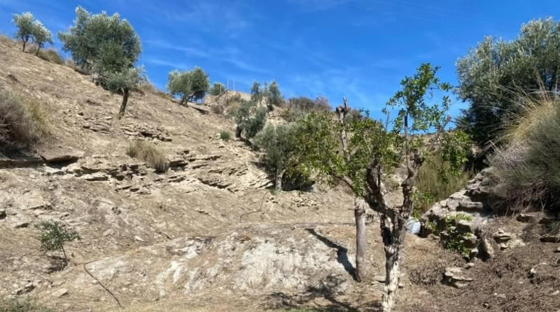 Almeria - Urrácal - 6997m2
