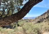 Non-developable land for sale on España, Urrácal, ref: TR121125 photo