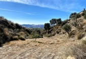 Non-developable land for sale on España, Urrácal, ref: TR121125 photo