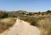 Detached villa with land for sale on España, Cozvíjar, ref: TR295268 photo