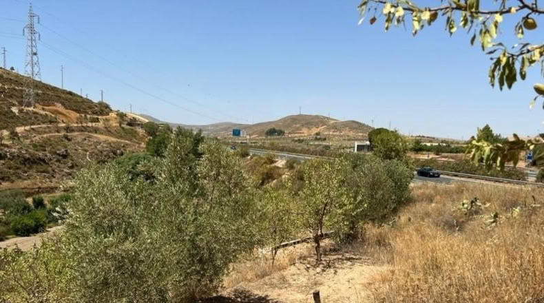Granada - Cozvíjar - 2000m2