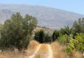 Detached villa with land for sale on España, Cozvíjar, ref: TR295268 photo