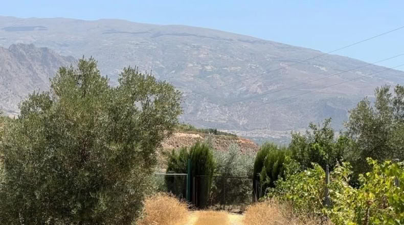Granada - Cozvíjar - 2000m2