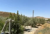 Detached villa with land for sale on España, Cozvíjar, ref: TR295268 photo