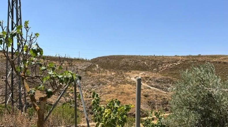 Granada - Cozvíjar - 2000m2