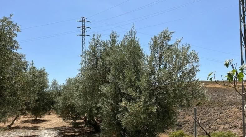Granada - Cozvíjar - 2000m2