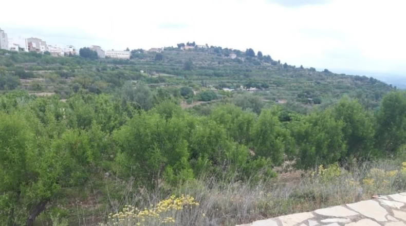 Castellón - Costur - 500m2