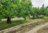 Terreny no urbanitzable en venda a la España, Moratalla, ref.: TR112428 foto
