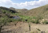 Chalet independiente con terreno en venta en la España, Lorca, ref: TR323227 foto
