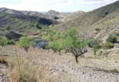 Chalet independiente con terreno en venta en la España, Lorca, ref: TR323227 foto